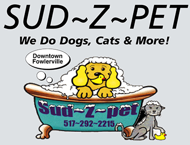 Image for Sud-Z-Pet with ID of: 6309046