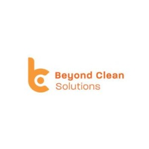 Image for Beyond Clean Solutions with ID of: 6753597