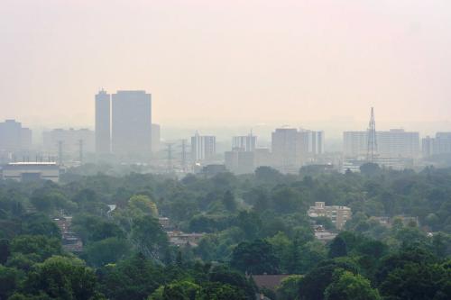 Image for Dan the Filterman with ID of: 6310068