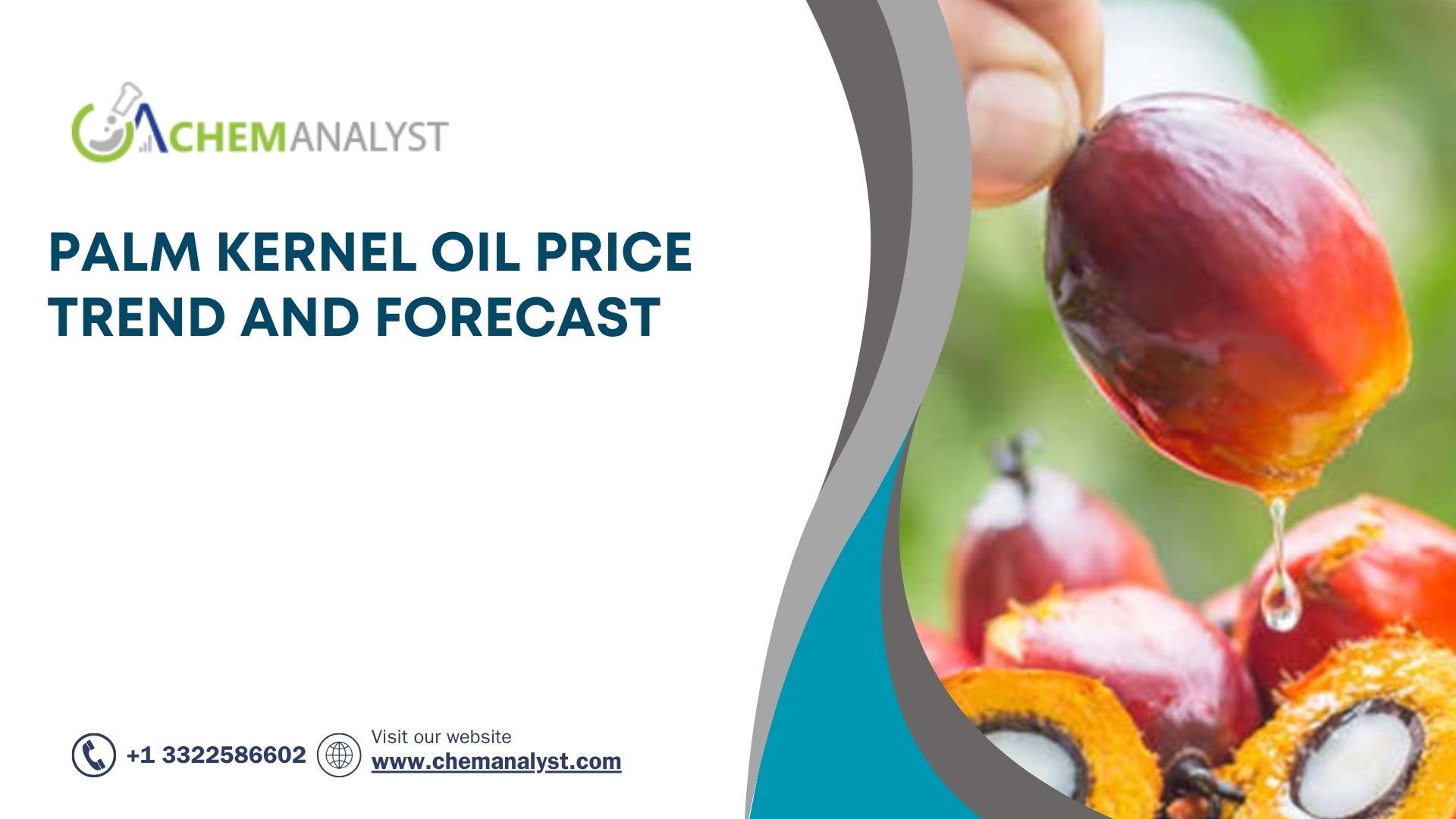 Image for Palm Kernel Oil Price Index: Trend, Chart, Recent Quarterly Update, Market Analysis with ID of: 6756451