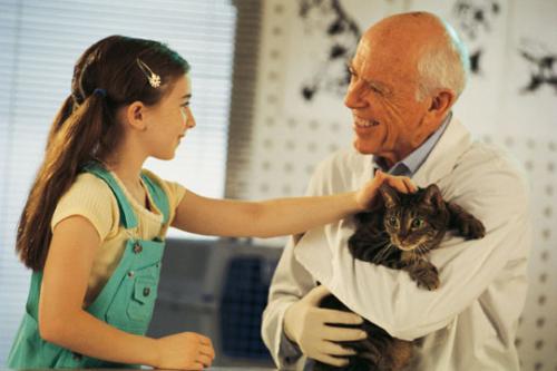 Image for Advanced Veterinary Hospital with ID of: 6310683