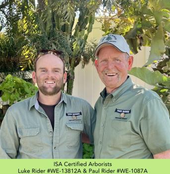 Image for Tree Barber Enterprises, Inc with ID of: 6311423