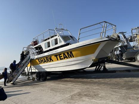 Image for White Shark Projects™ with ID of: 6311434