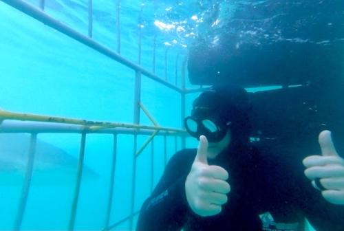 Image for White Shark Projects™ with ID of: 6311438