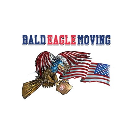 Image for Bald Eagle Moving with ID of: 6759121