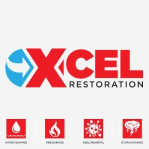 Image for X-Cel Restoration with ID of: 6759488