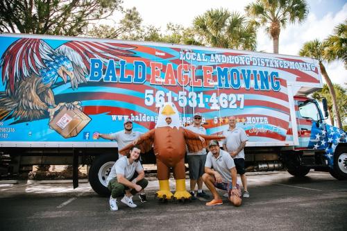 Image for Bald Eagle Moving with ID of: 6759909
