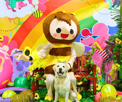 Image for Dogs in Town with ID of: 6313034