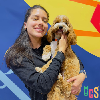 Image for Dogs in Town with ID of: 6313043