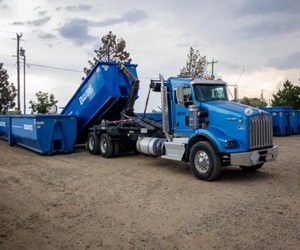 Image for Discount Dumpster with ID of: 6313606