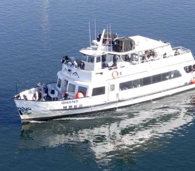 Image for Cruise San Diego with ID of: 6314511