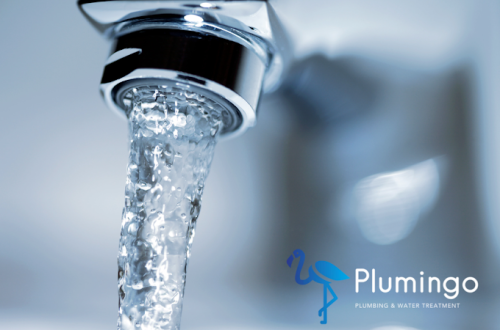 Image for Plumingo - Kitchener & Waterloo with ID of: 6314893