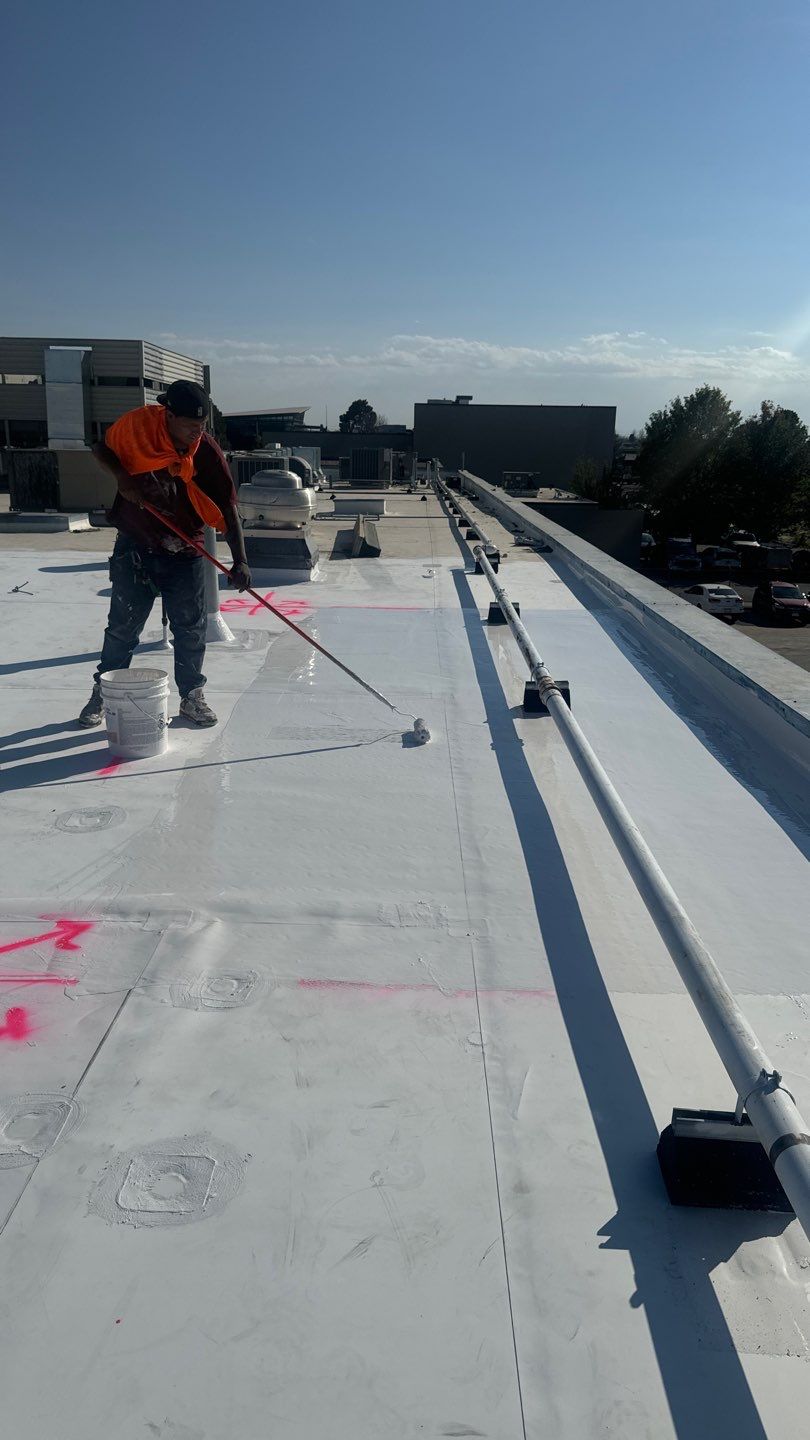 Image for Rize Exterior Services with ID of: 6315206