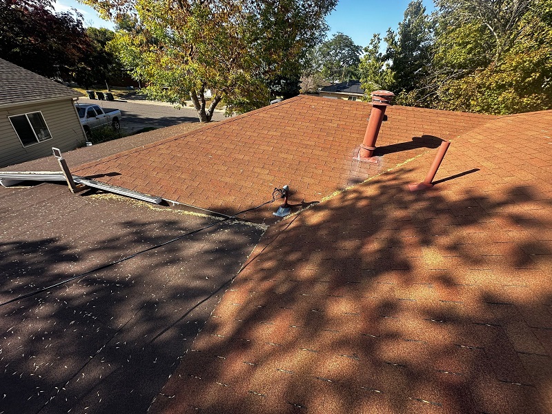 Image for Rize Exterior Services with ID of: 6315207