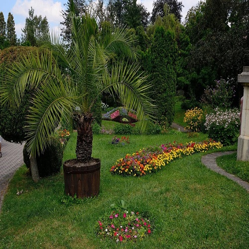Image for Albemarle Landscapes and Tree Service with ID of: 6315820