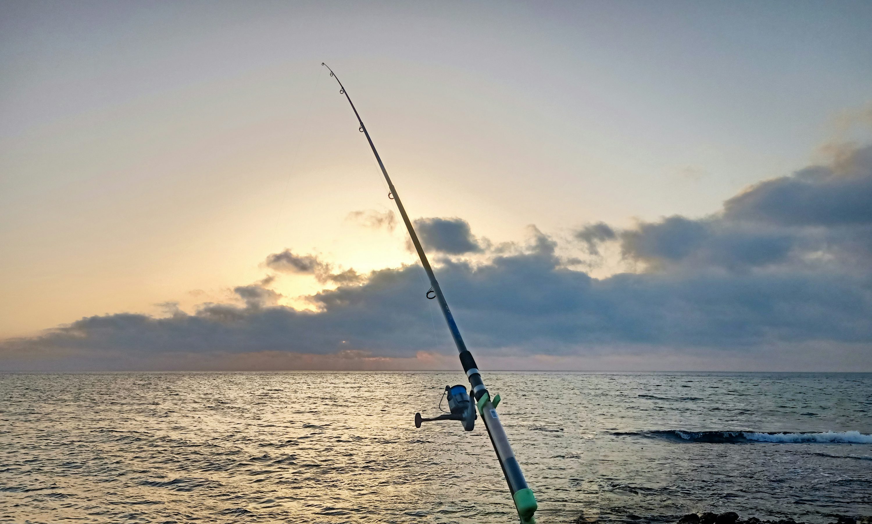 Image for My Honest Experience Upgrading to a Quality Fishing Rod – A Game-Changer for Every Angler with ID of: 6760392