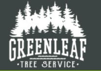 Image for Green Leaf Tree Service with ID of: 6764311