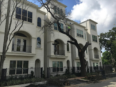 Image for Highpoint Tree Care with ID of: 3773399
