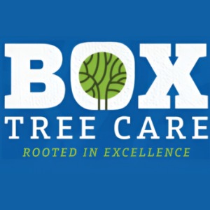 Image for Box Tree Care with ID of: 6768950