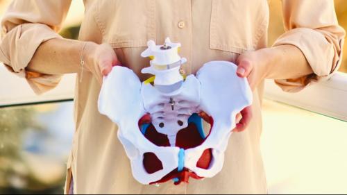 Image for Northern Pelvic Connection with ID of: 6320200