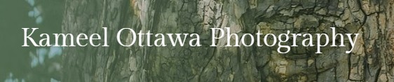 Image for Kameel Ottawa Photography with ID of: 6770784