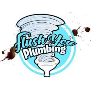 Image for Flush You Plumbing with ID of: 6774800