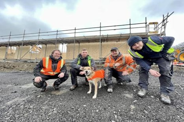 Image for McVeigh Offsite Ltd with ID of: 6328124