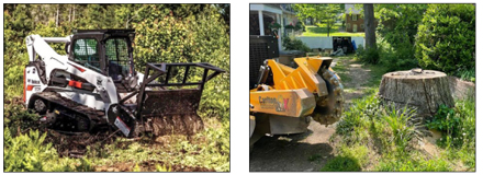 Image for Stump Pros with ID of: 6329506