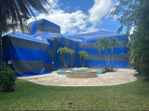 Image for Quality Termite & Pest Control, LLC with ID of: 6330229