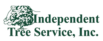 Image for Independent Tree Service, Inc. with ID of: 6779242
