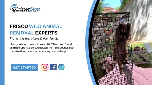 Image for Critter Stop with ID of: 6331602