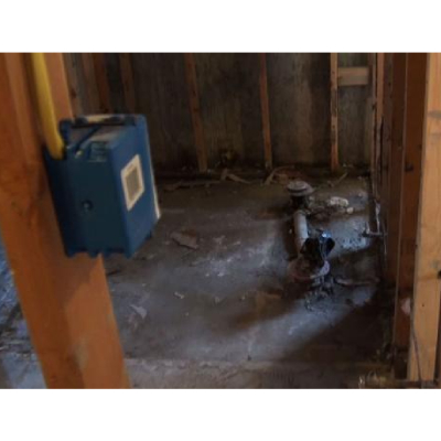 Image for Disaster Professionals LLC with ID of: 6332166