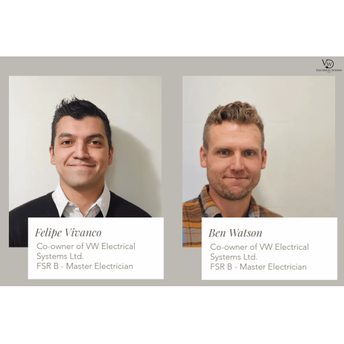 Image for VW Electrical Systems Ltd with ID of: 6334694