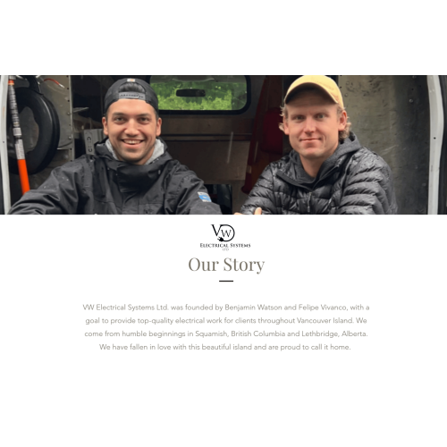 Image for VW Electrical Systems Ltd with ID of: 6334695