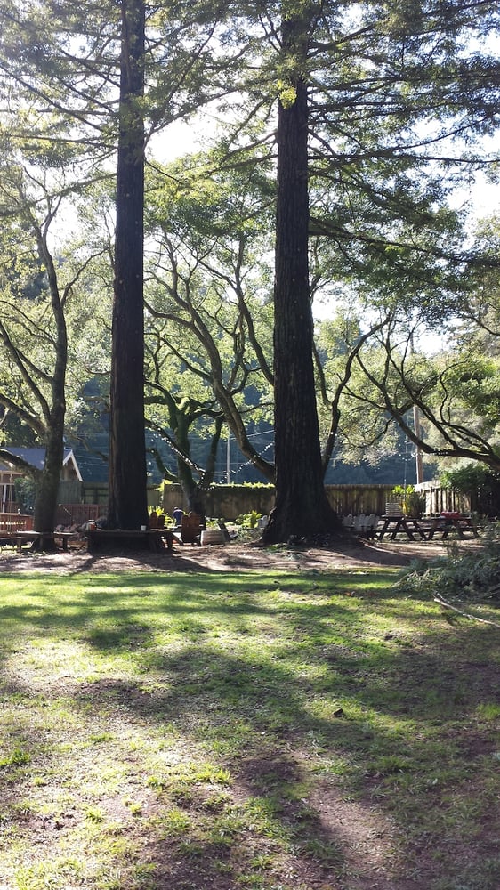 Image for Firefighter Tree Service with ID of: 6335634