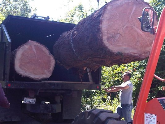 Image for Firefighter Tree Service with ID of: 6335637