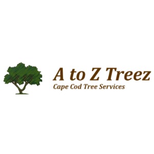 Image for A to Z Treez with ID of: 6780305