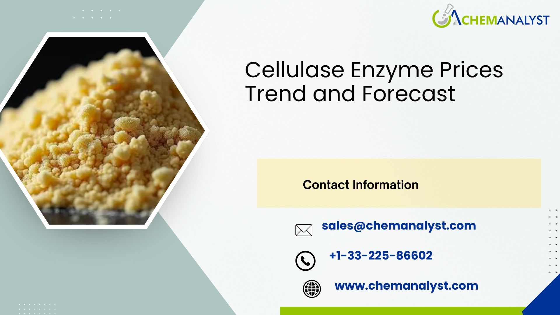 Image for Cellulase Enzyme Prices, Chart, Index, Trends, Demand and Forecast | Q3 2025 with ID of: 6781322