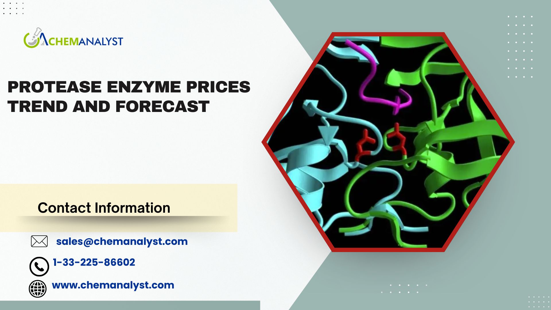 Image for Protease Enzyme Prices, Chart, Index, Trends, Demand and Forecast | Q3 2025 with ID of: 6781419
