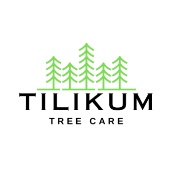 Image for Tilikum Tree Care with ID of: 6782227