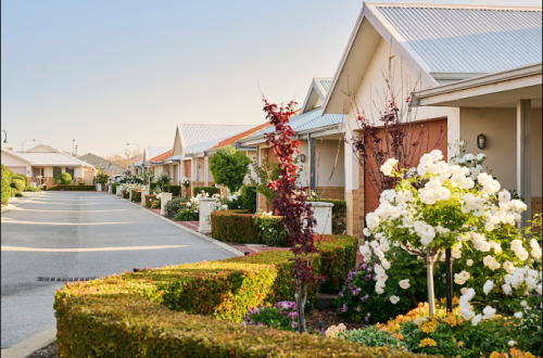 Image for Arcadia Group with ID of: 6342240