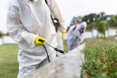 Image for Pied Piper Pest Control with ID of: 6342331