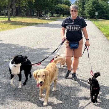 Image for Highland Haven Dog Training with ID of: 6342407