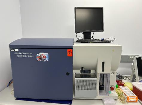 Image for e-Dispositions with ID of: 6344097