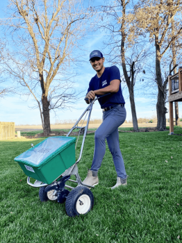 Image for New Lawn KC with ID of: 6344162