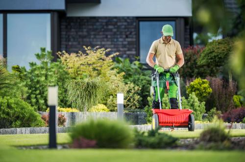 Image for New Lawn KC with ID of: 6344166