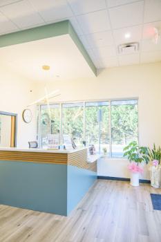 Image for Align Orthodontics with ID of: 6344544