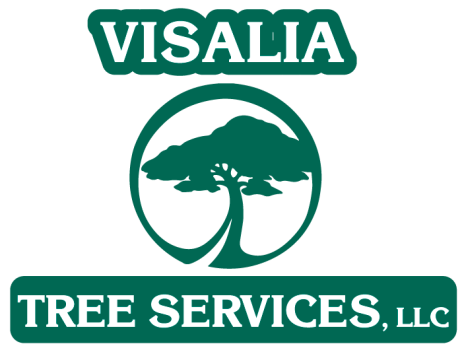 Image for Visalia Tree Service, LLC with ID of: 6788559