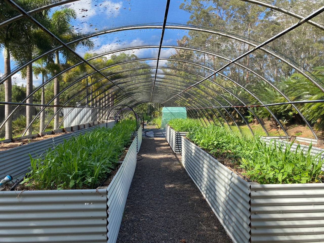 Image for Greener Landscaping Queensland with ID of: 6346207