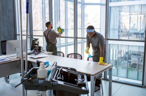 Image for Pittsburgh Reliable Cleaning Services with ID of: 6346718